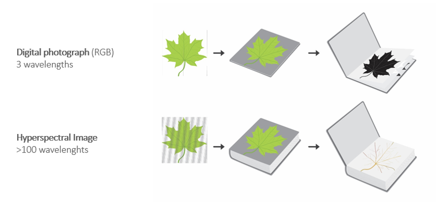 What-information-hyperspectral-imaging-provides What information hyperspectral imaging provides?